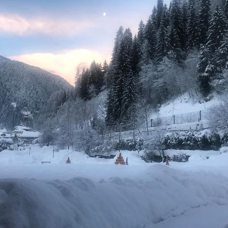 Holidays Dolomiti Apartment Resort Carisolo Bagian luar foto
