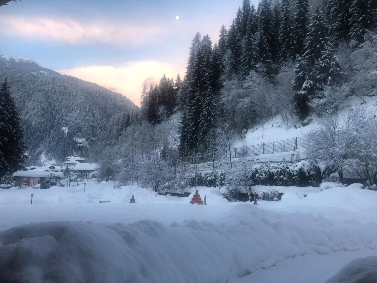 Holidays Dolomiti Apartment Resort Carisolo Bagian luar foto
