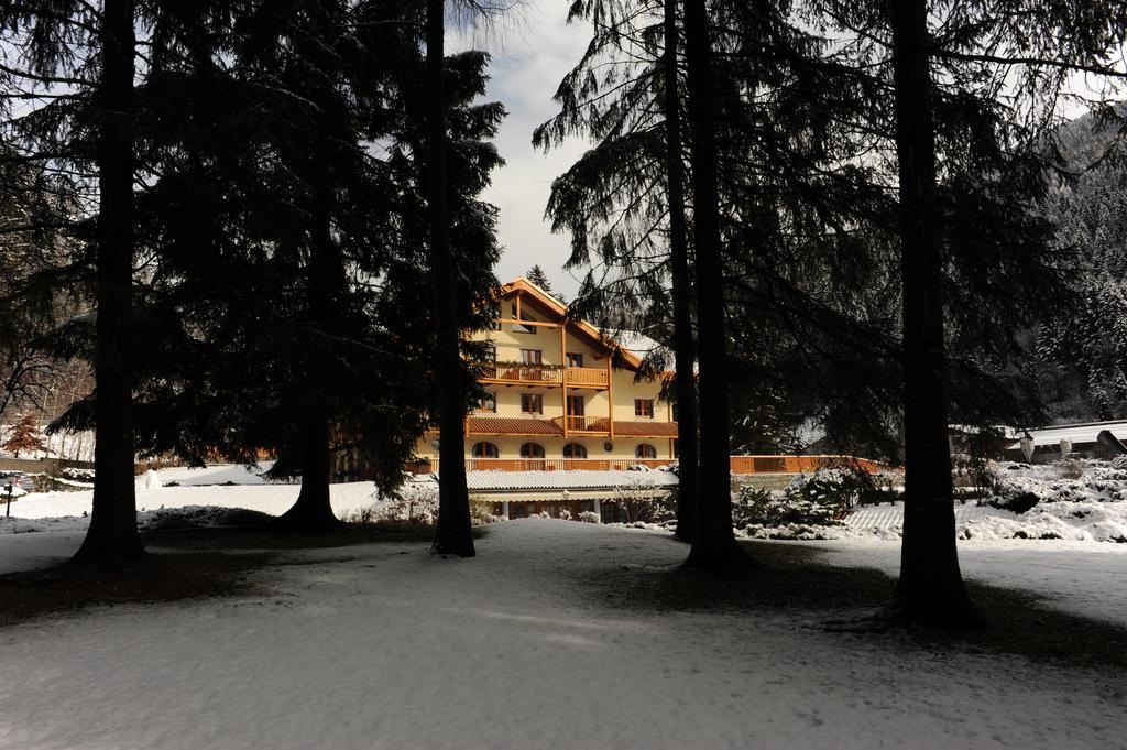 Holidays Dolomiti Apartment Resort Carisolo Bagian luar foto